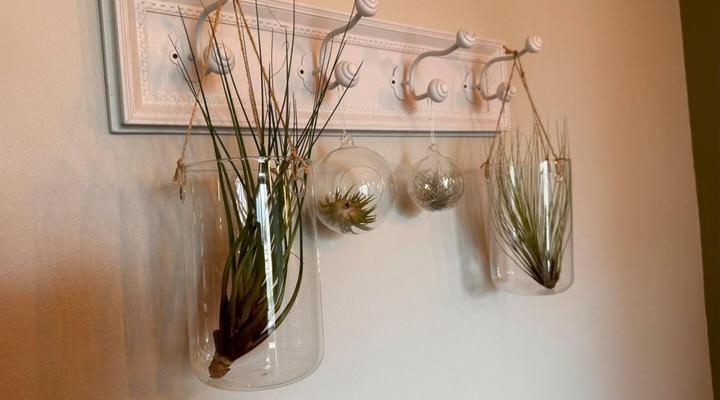 Skye's Beach Cottage