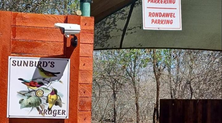 Sunbirds@Kruger