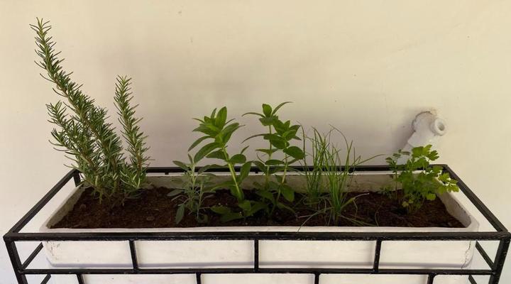 Luxury Modern Farm Cottage With Sea View