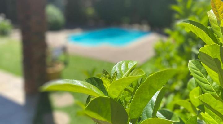 Juliet Rose Guest House