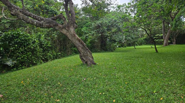 Nombango Guest House