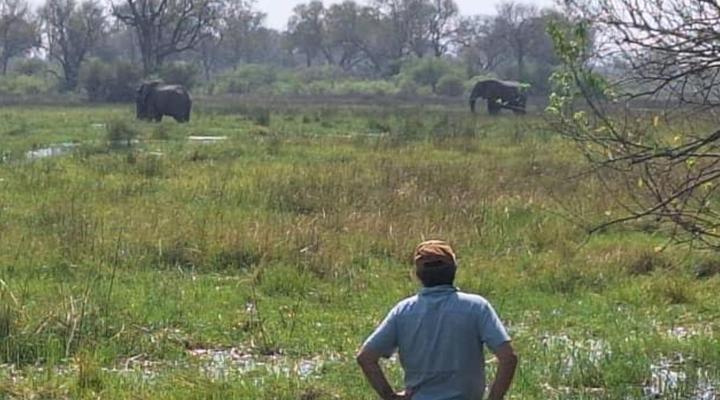 Khwai Game Lodge and Campsite
