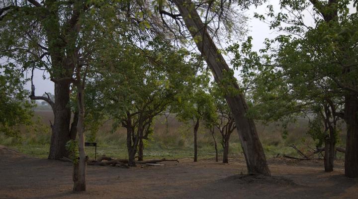 Khwai Game Lodge and Campsite