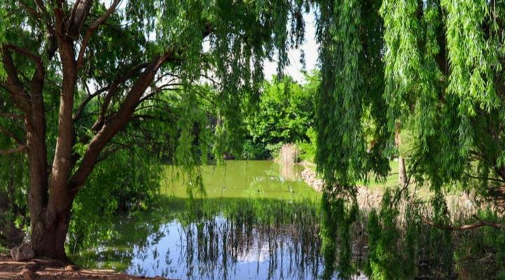 The Nugget Guest Lodge