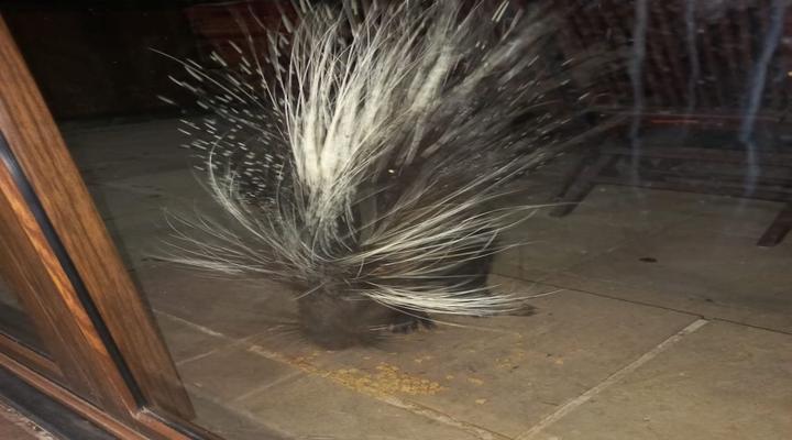 12 Bedroom Golfers Lodge 167 @Zebula