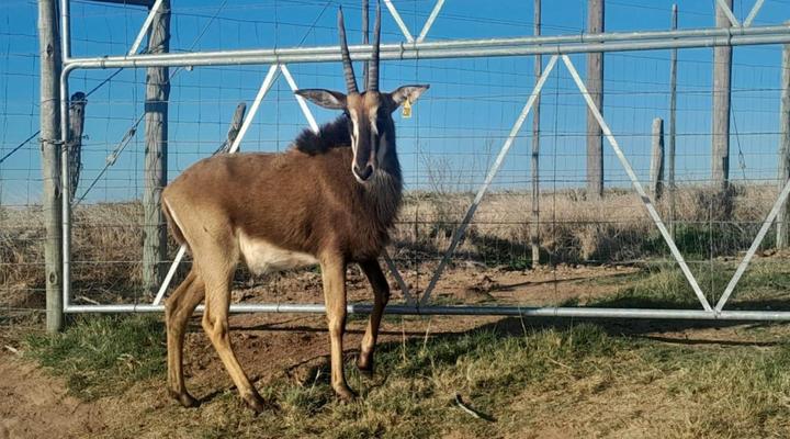 Indigo Crest Events and Accommodation