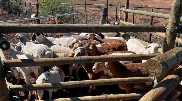 Keurkloof Farm Villas