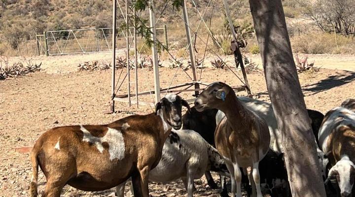 Keurkloof Farm Villas