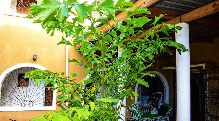 Joysvilla Family Holiday Home