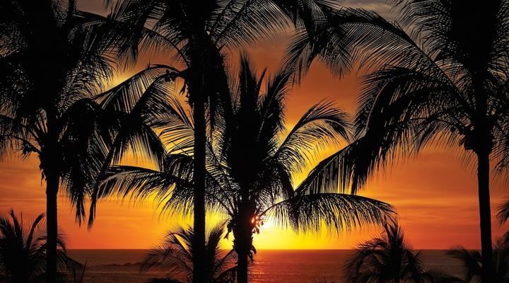 Four Seasons Resort Punta Mita