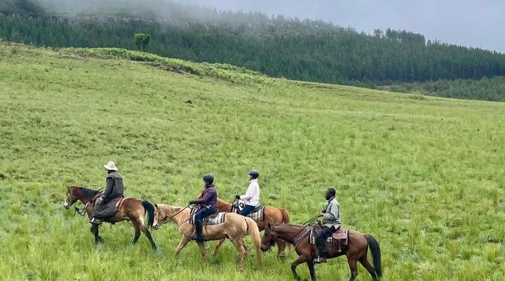 Paardeplaats Nature Retreat