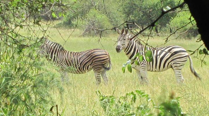 53A Luxury Bed and Breakfast