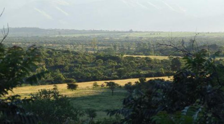 Old Coach Road Guest House