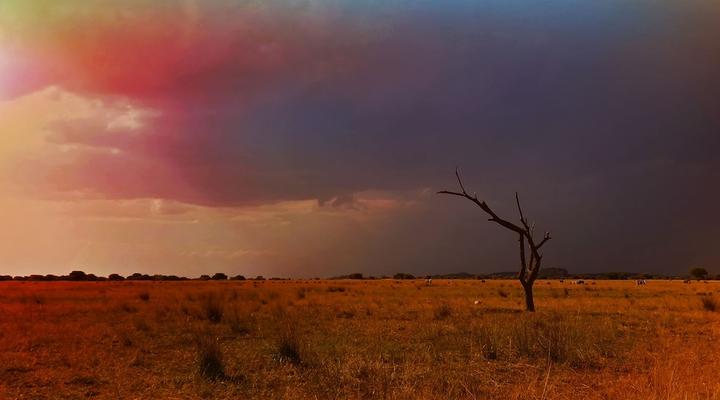 Zwahili Private Game Lodge & Spa