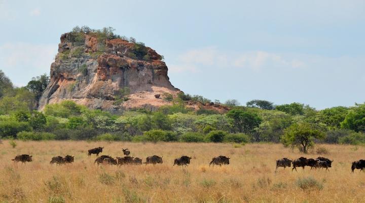 Zwahili Private Game Lodge & Spa