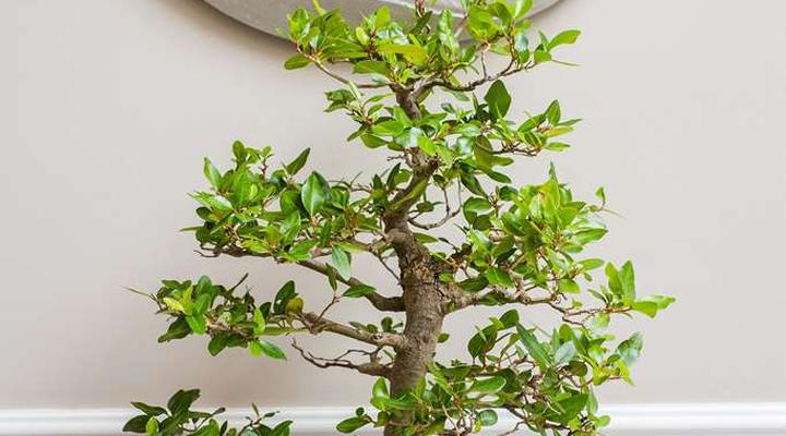 Premier Hotel Cape Town