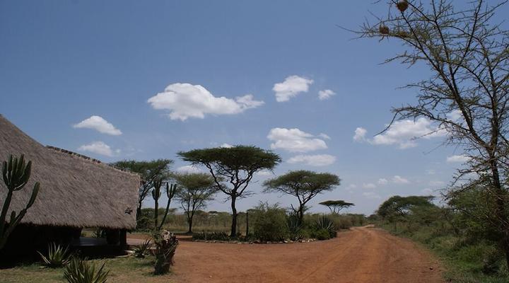 Ikoma Tented Camp
