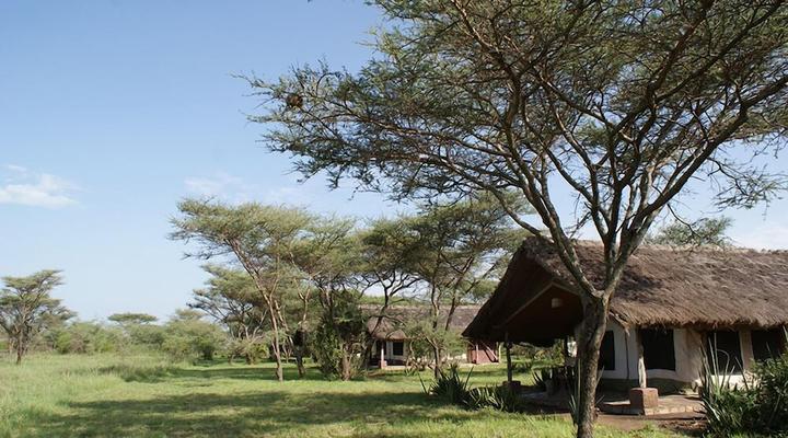 Ikoma Tented Camp