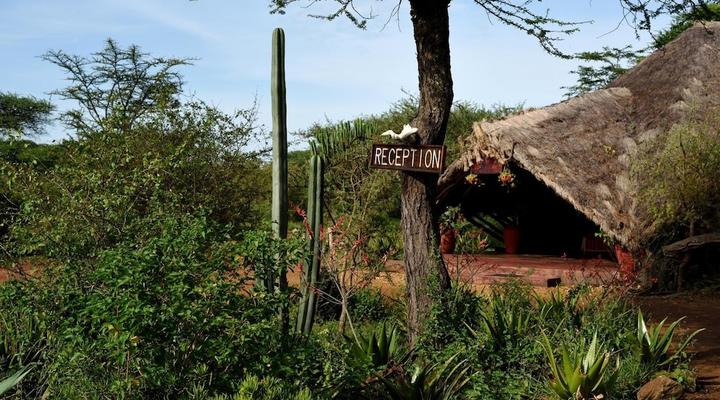 Ikoma Tented Camp