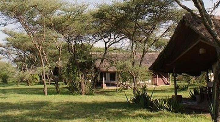 Ikoma Tented Camp