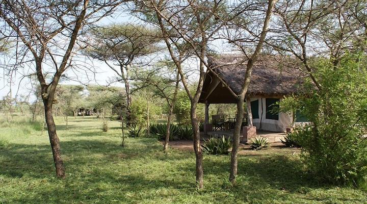 Ikoma Tented Camp