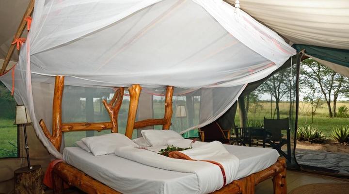 Ikoma Tented Camp