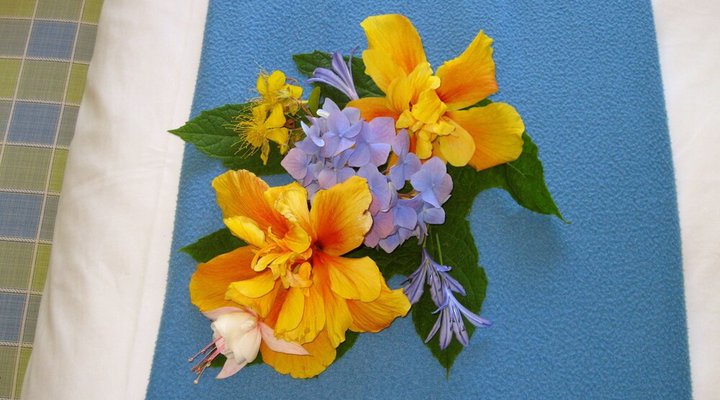 Malvern Manor Country Guest House