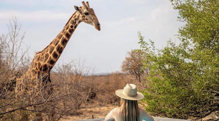 Tuningi Safari Lodge
