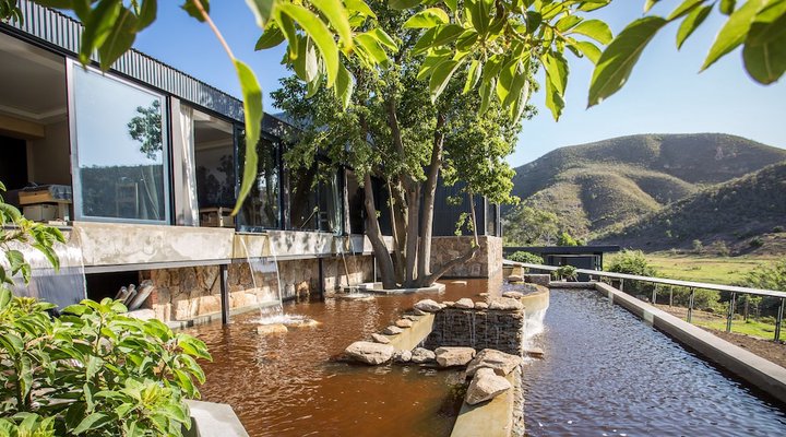 Botlierskop Private Game Reserve