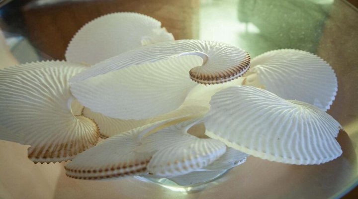 Cape Agulhas Guest House