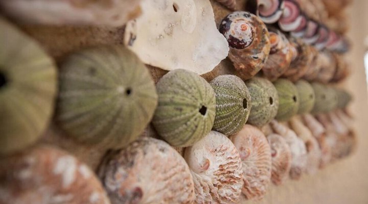 Cape Agulhas Guest House