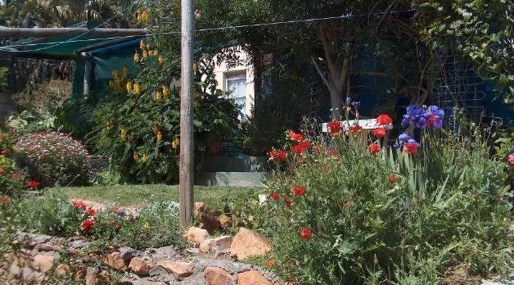 Rachel's Home from Home