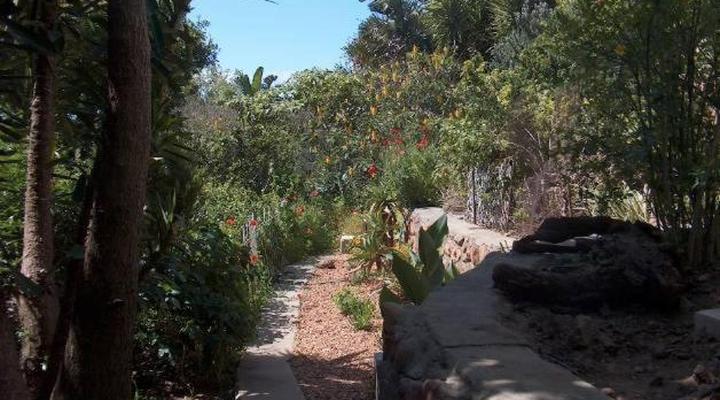 Rachel's Home from Home