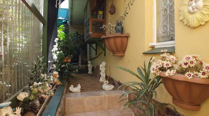 Rachel's Home from Home