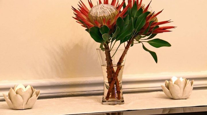 Nine Flowers Guest House