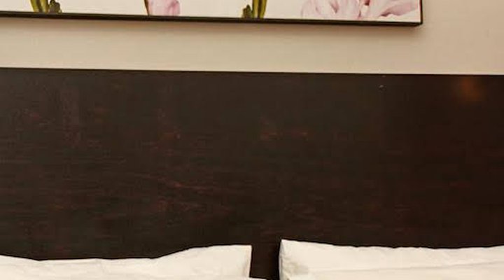 Nine Flowers Guest House