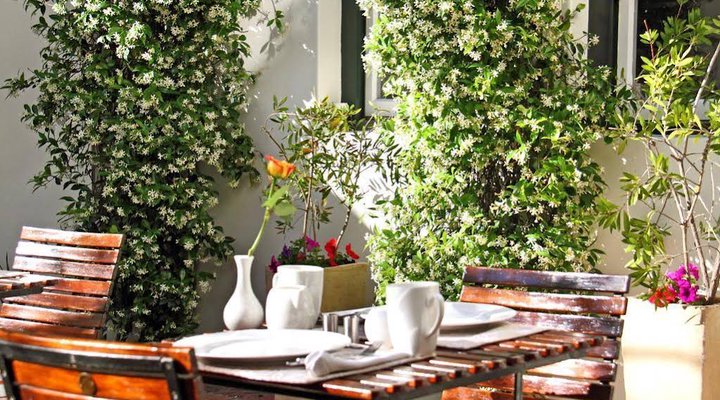 Nine Flowers Guest House