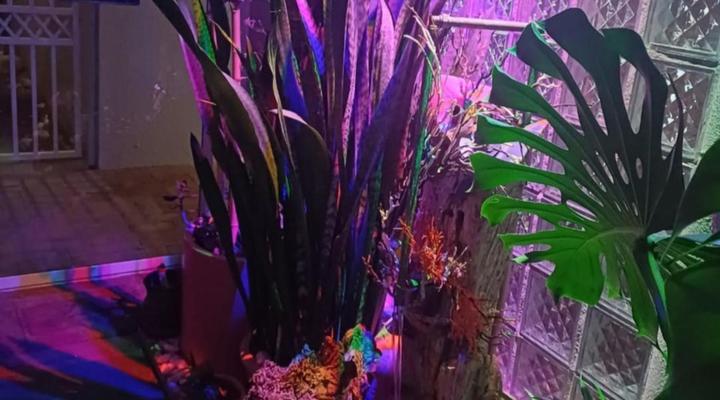 33 On Sea BnB and Guest House