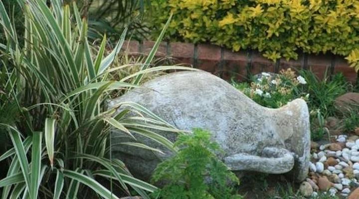 El Palma Guest House