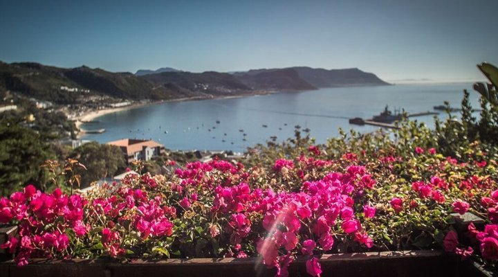El Mirador
