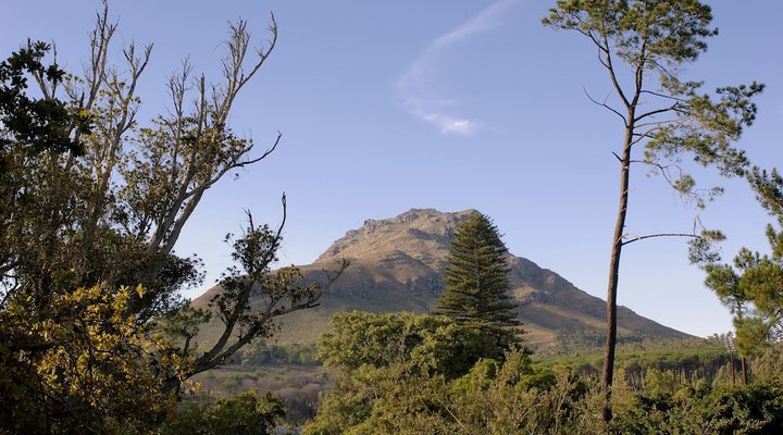 Beauclair Guest Cottage