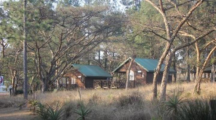 Acacia Bush Lodge