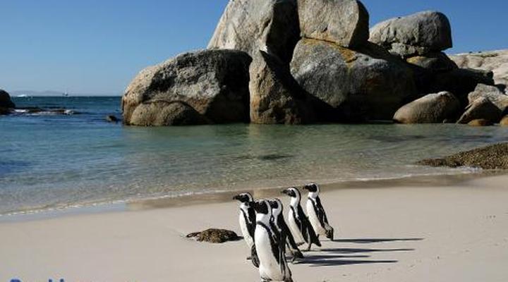 Roman Rock Apartments