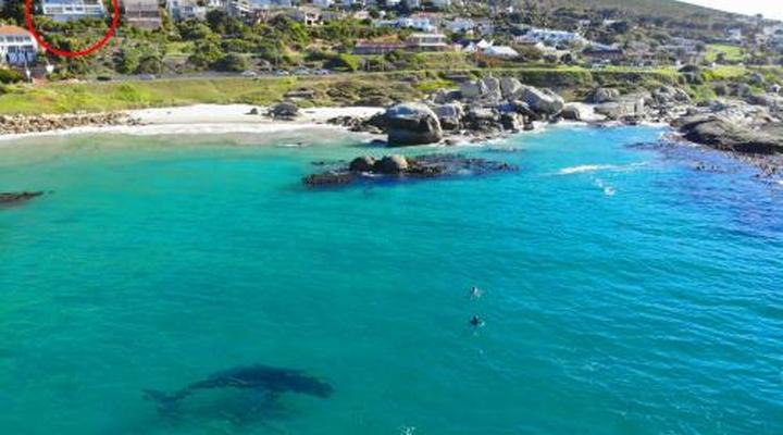 Roman Rock Apartments