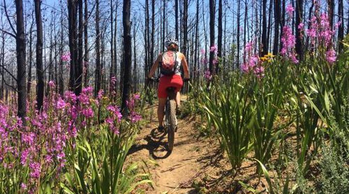 4 Heaven Guest House