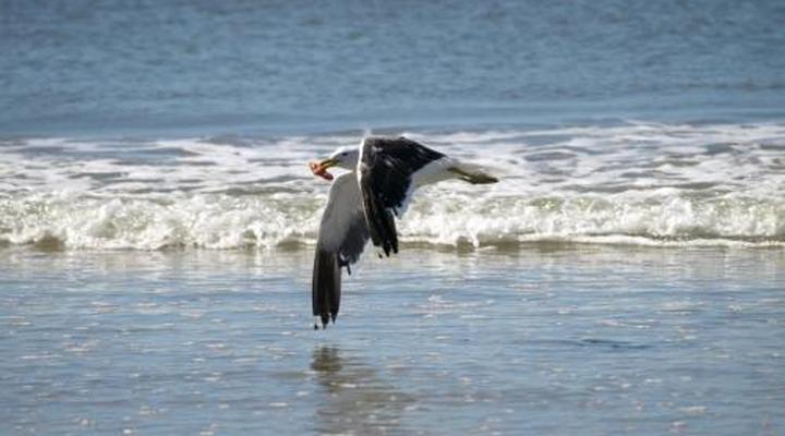 Melkbosstrand Bed and Breakfast