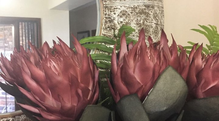 Buya Futhi Bed & Breakfast