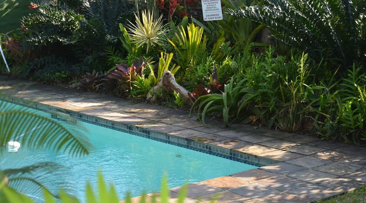 Buya Futhi Bed & Breakfast