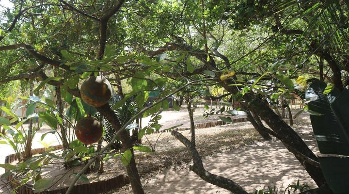 Amangwane Tented Camp