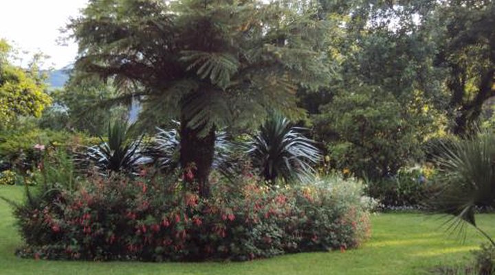 Kuhestan Farm Cottages